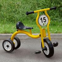 Wisdom Narrow Axle Trike